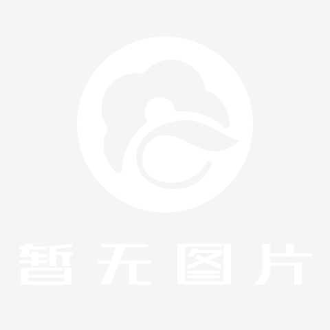 演示内容标题